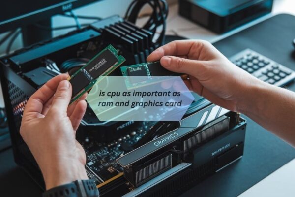 is cpu as important as ram and graphics card