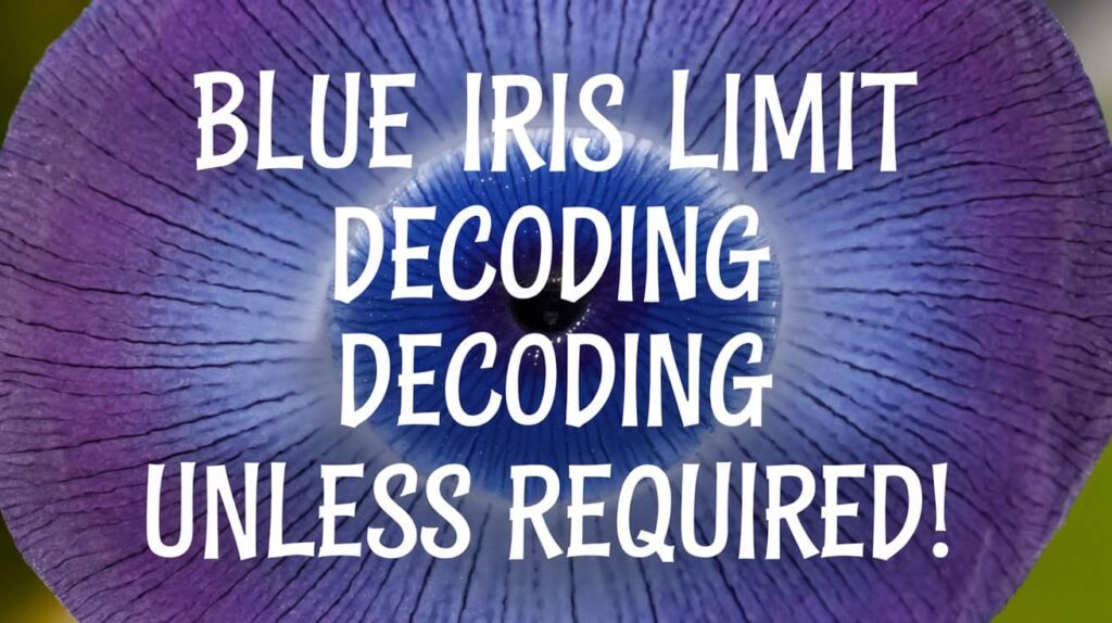 Blue Iris limit decoding unless required!